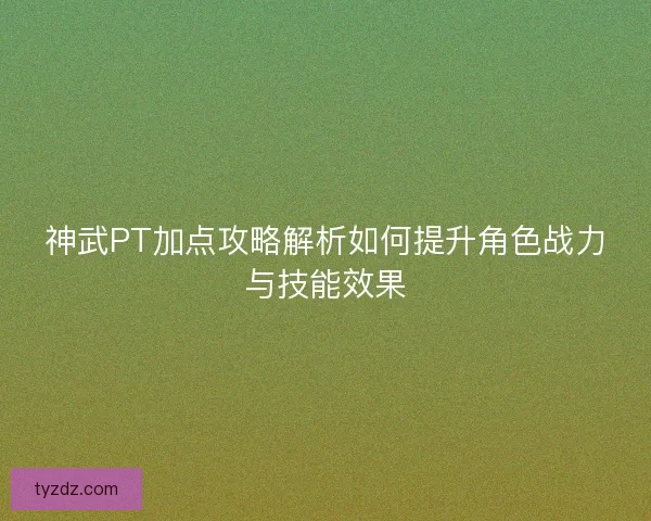 神武PT加点攻略解析如何提升角色战力与技能效果