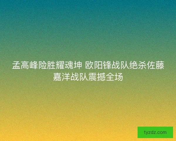 孟高峰险胜耀魂坤 欧阳锋战队绝杀佐藤嘉洋战队震撼全场