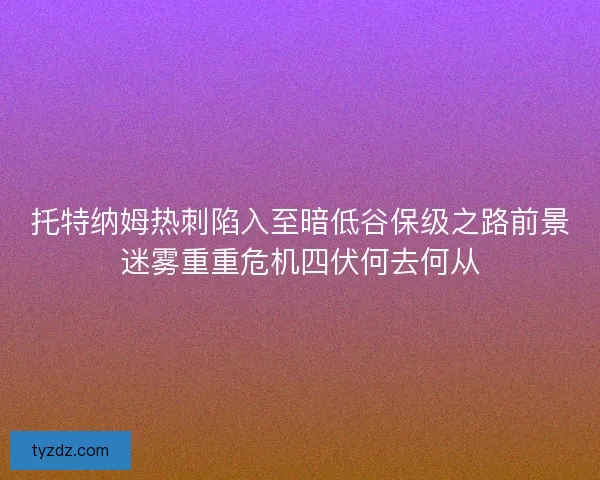 托特纳姆热刺陷入至暗低谷保级之路前景迷雾重重危机四伏何去何从