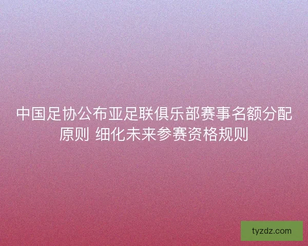 中国足协公布亚足联俱乐部赛事名额分配原则 细化未来参赛资格规则